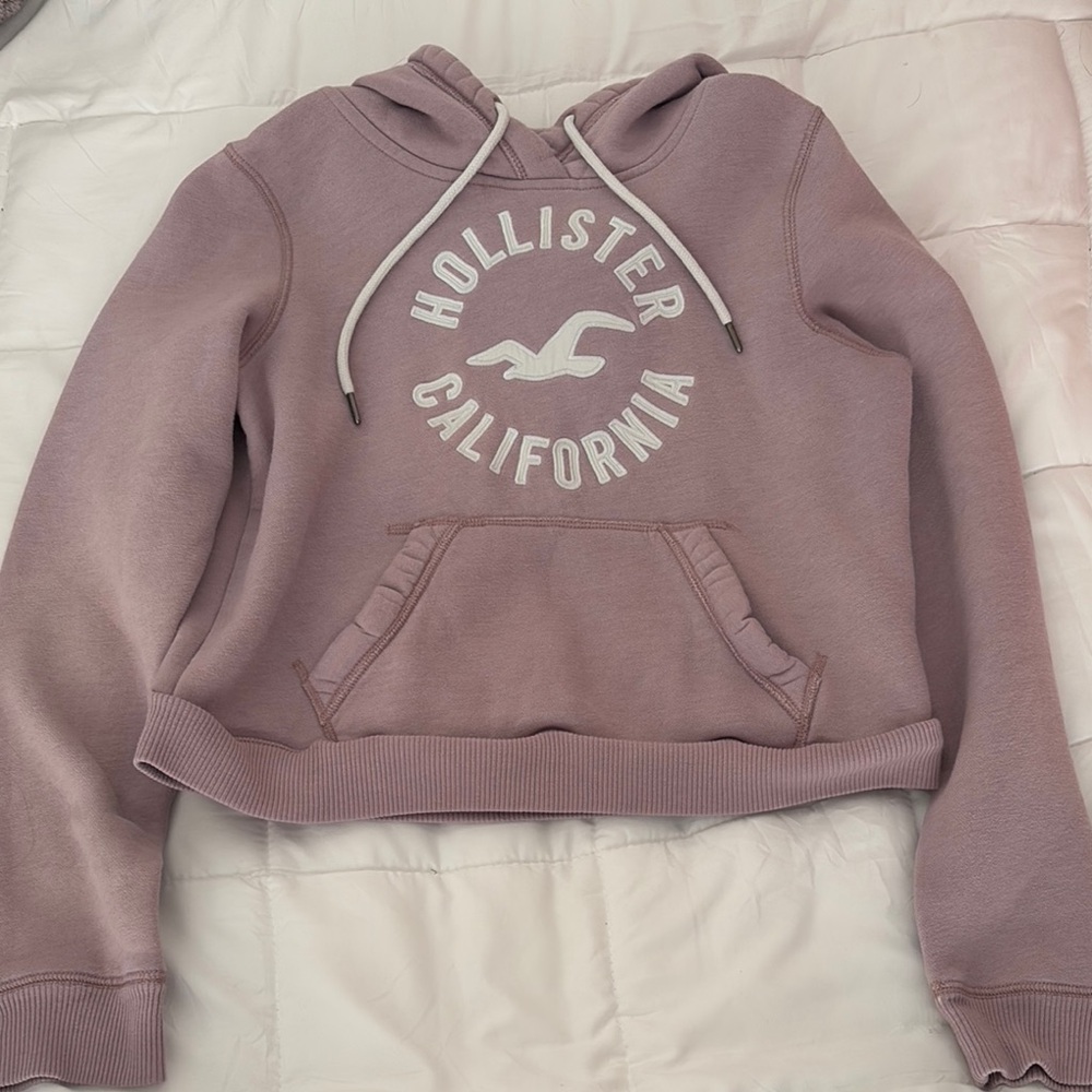 Hollister Women's Mauve Hoodie